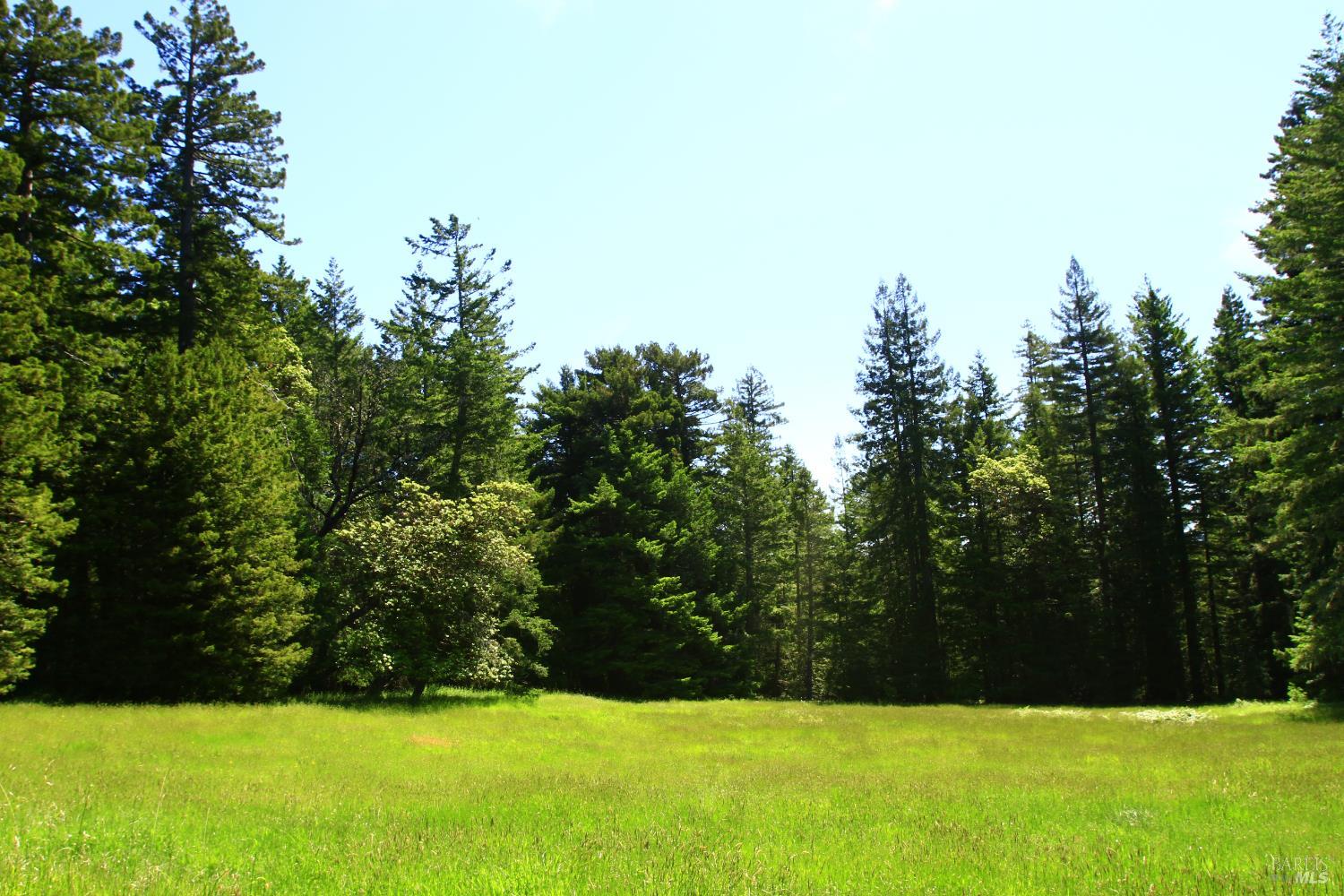 31010 Stewarts Point-skaggs Springs Road Stewarts Point CA 95497