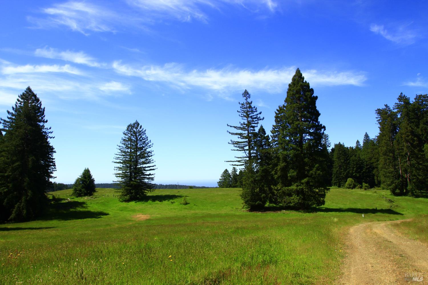 31010 Stewarts Point-skaggs Springs Road Stewarts Point CA 95497