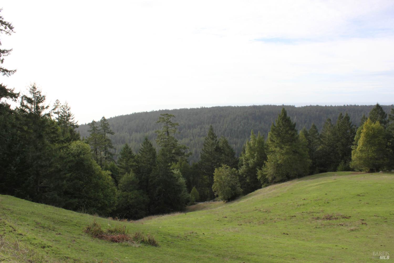 31010 Stewarts Point-skaggs Springs Road Stewarts Point CA 95497