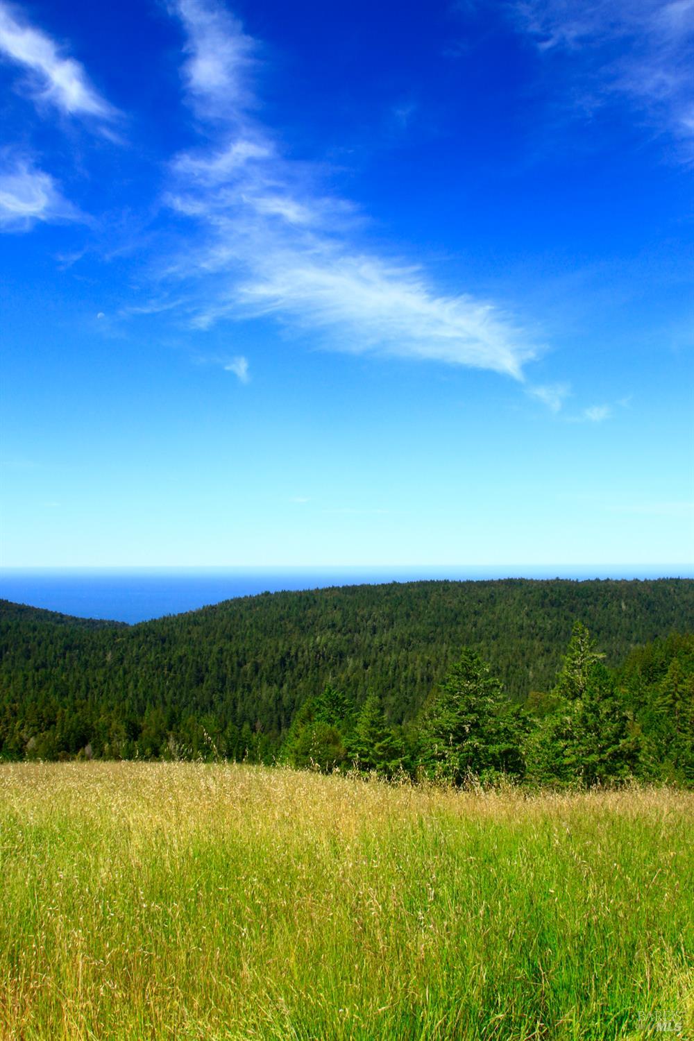 31010 Stewarts Point-skaggs Springs Road Stewarts Point CA 95497