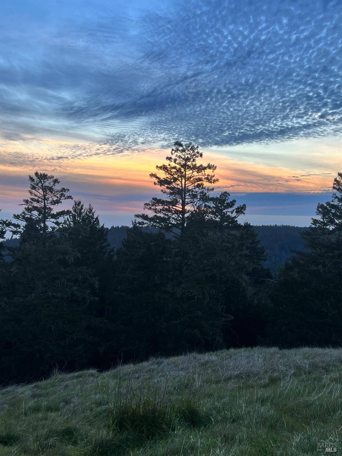 31010 Stewarts Point-skaggs Springs Road Stewarts Point CA 95497