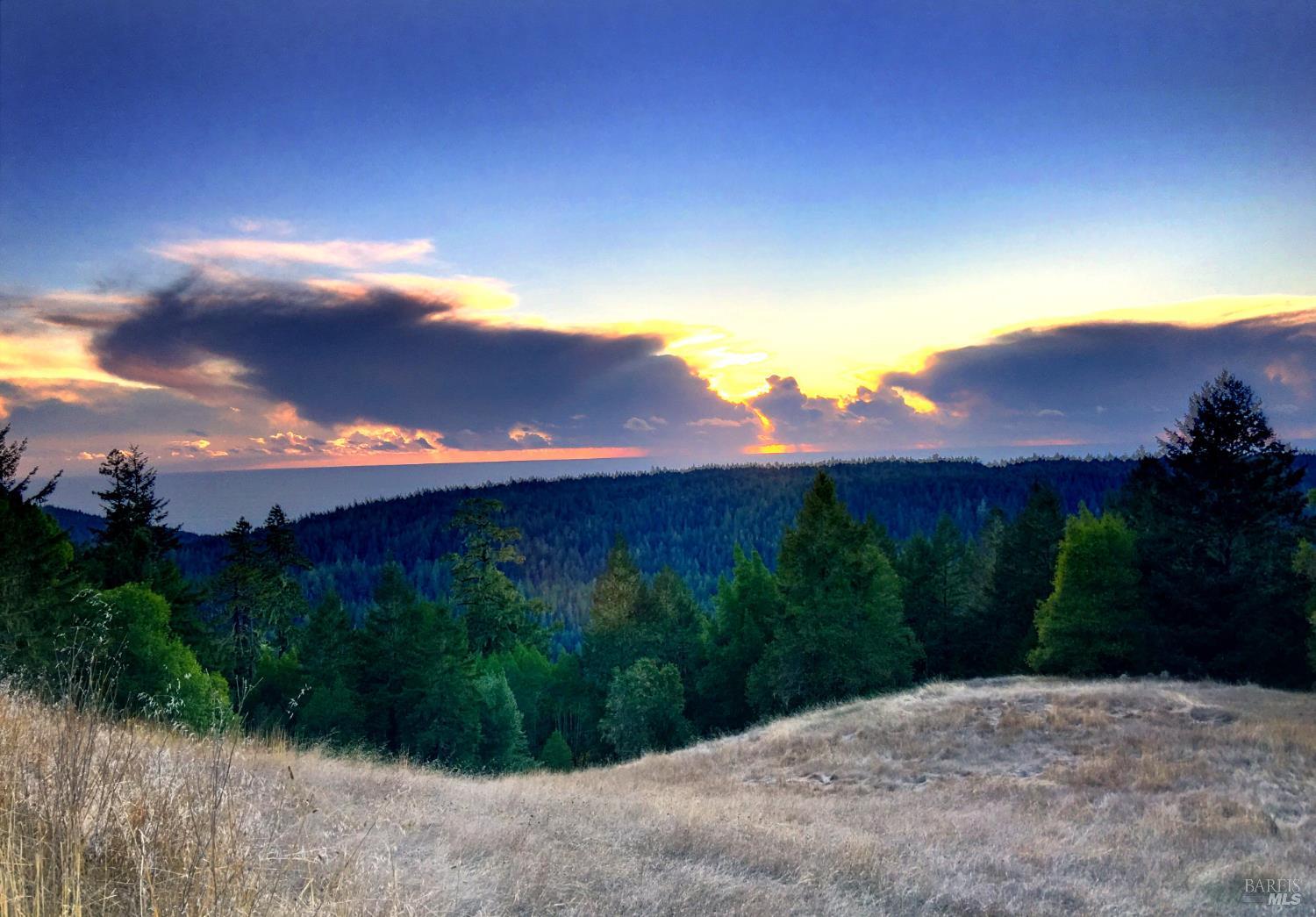 31010 Stewarts Point-skaggs Springs Road Stewarts Point CA 95497