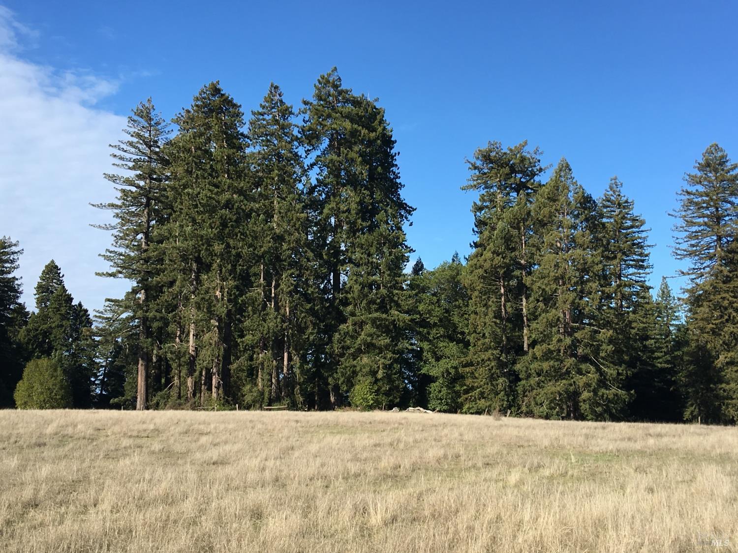 31010 Stewarts Point-skaggs Springs Road Stewarts Point CA 95497