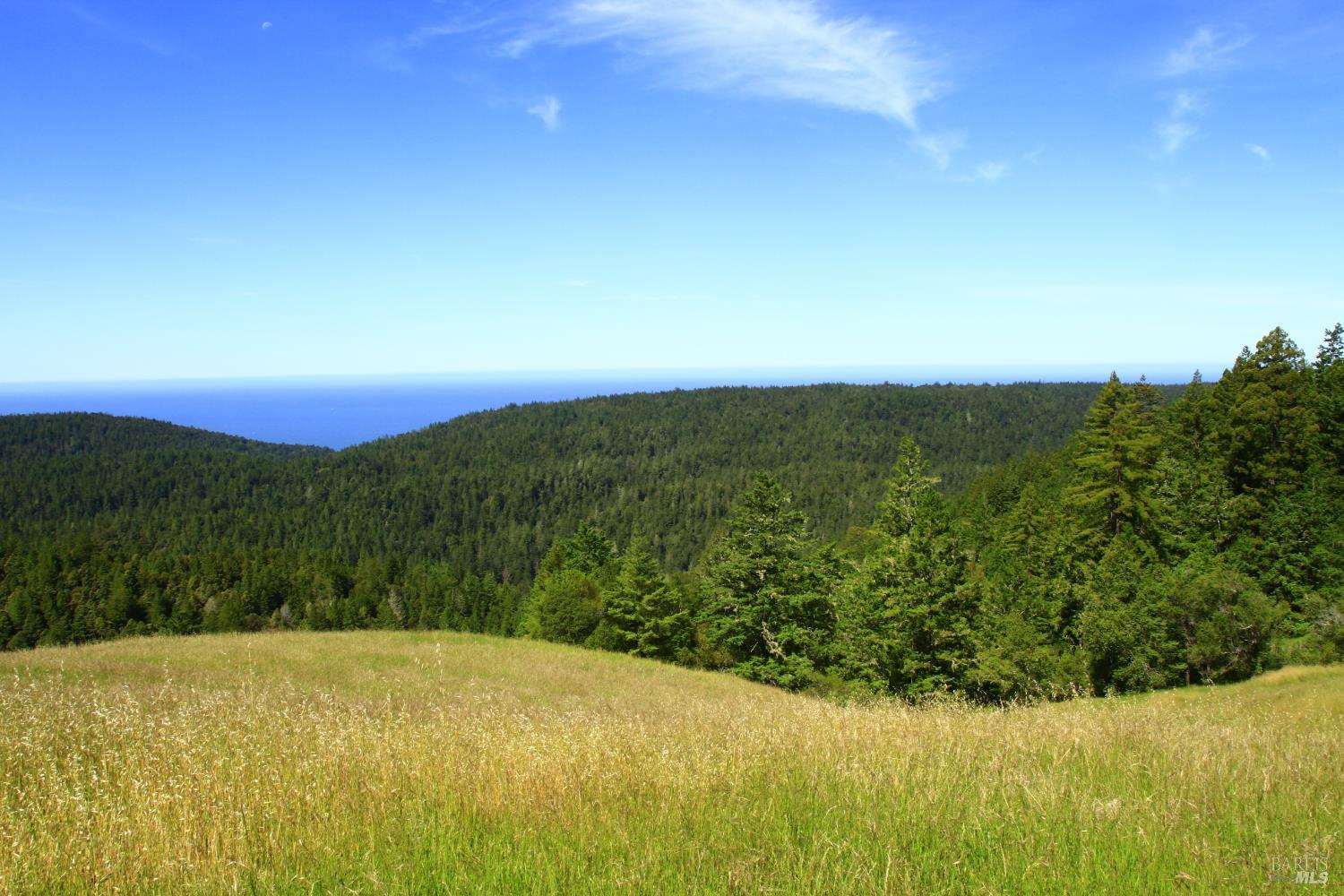 31010 Stewarts Point-skaggs Springs Road Stewarts Point CA 95497