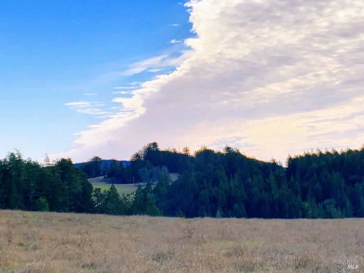 31010 Stewarts Point-skaggs Springs Road Stewarts Point CA 95497