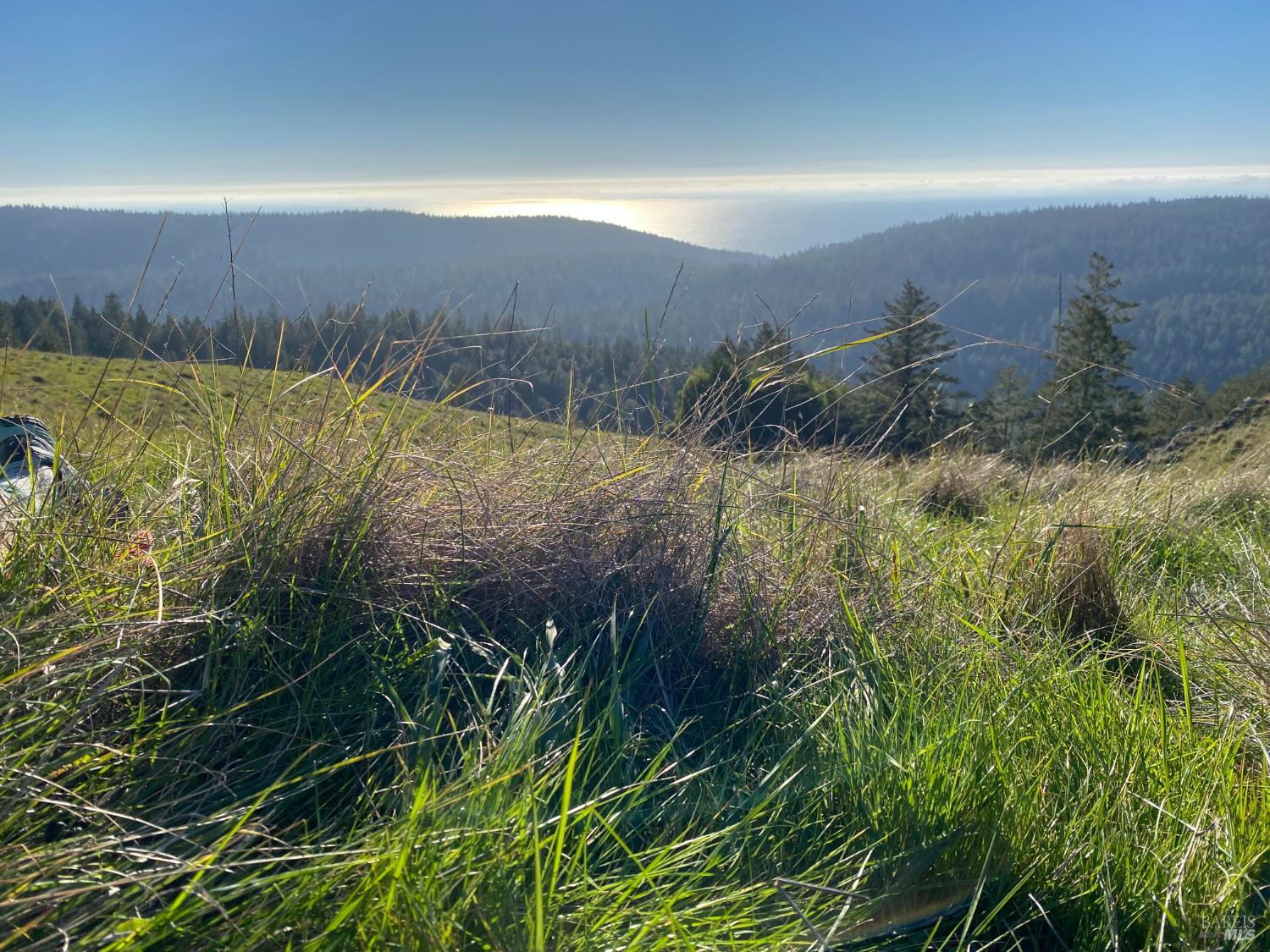 31010 Stewarts Point-skaggs Springs Road Stewarts Point CA 95497