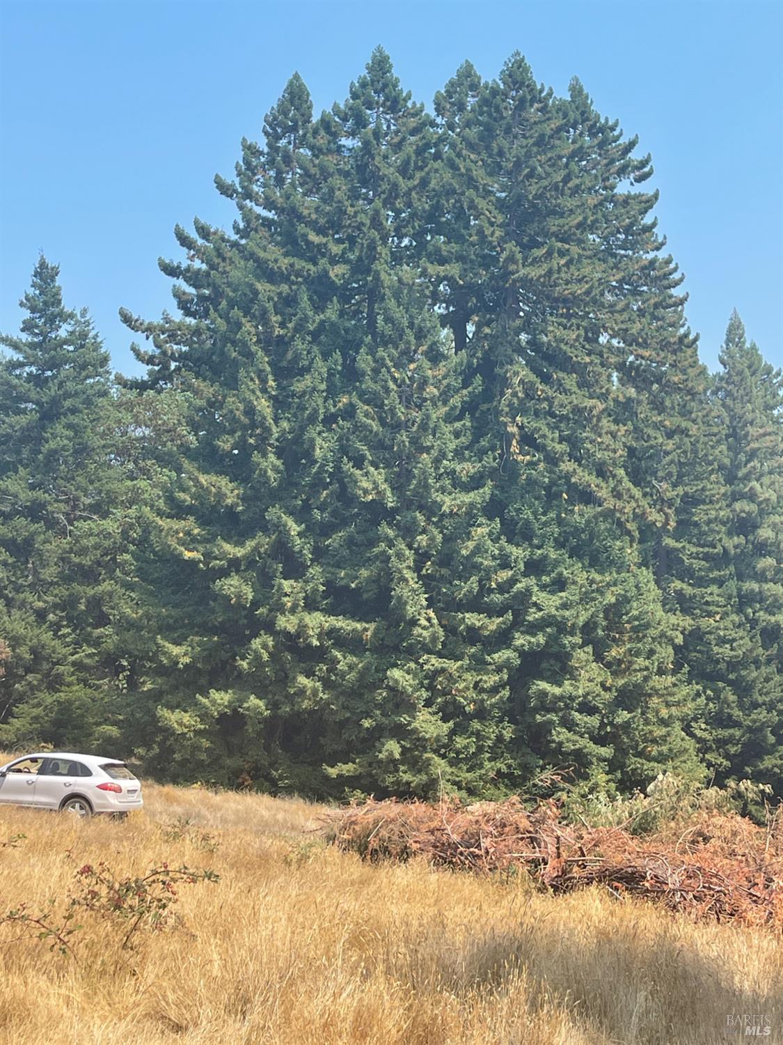 31010 Stewarts Point-skaggs Springs Road Stewarts Point CA 95497