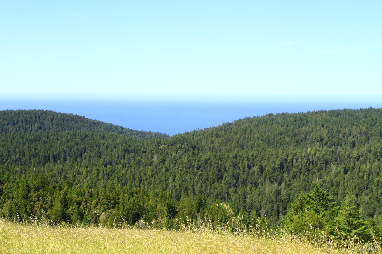 31010 Stewarts Point-skaggs Springs Road Stewarts Point CA 95497