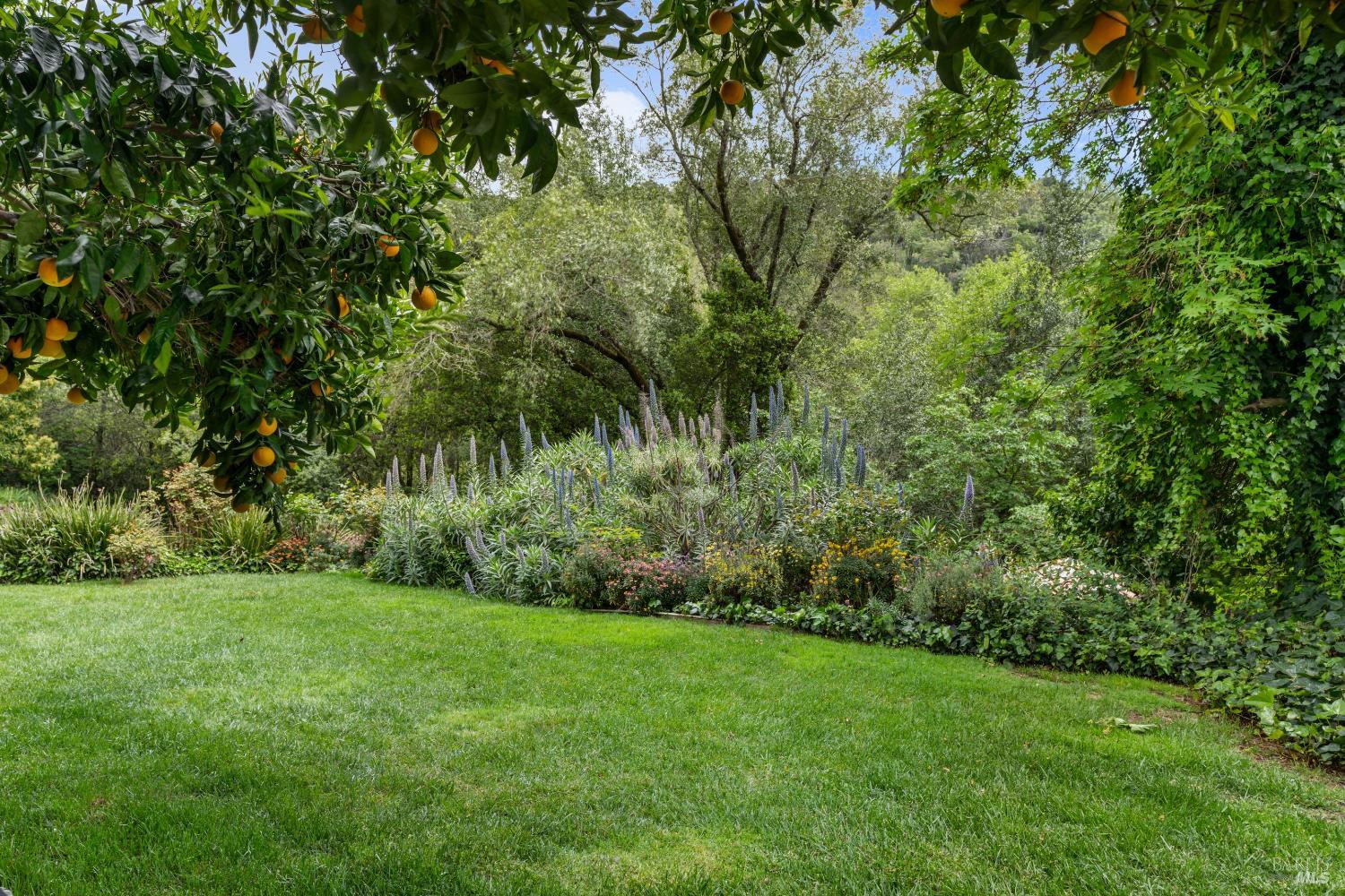 17000 Gehricke Road Sonoma CA 95476