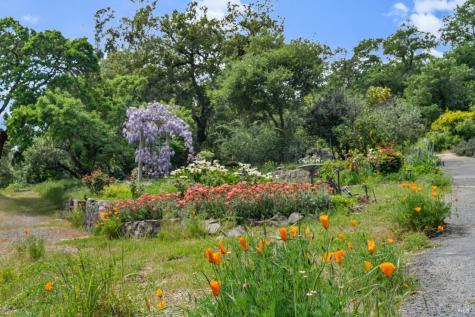 17000 Gehricke Road Sonoma CA 95476
