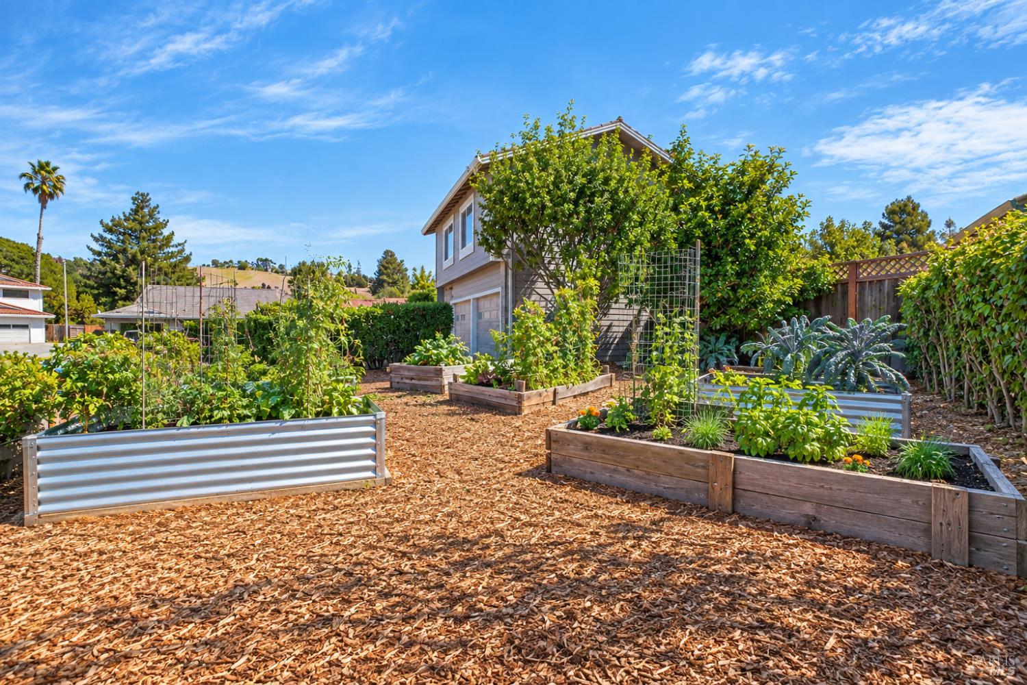 172 Clearview Court Petaluma CA 94952