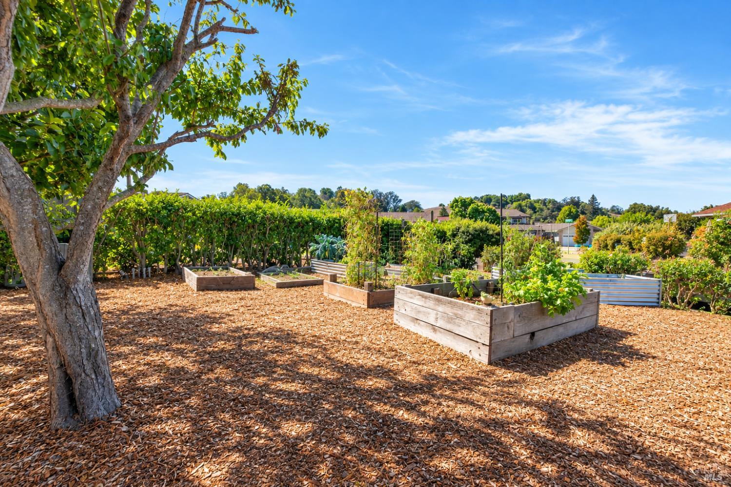 172 Clearview Court Petaluma CA 94952