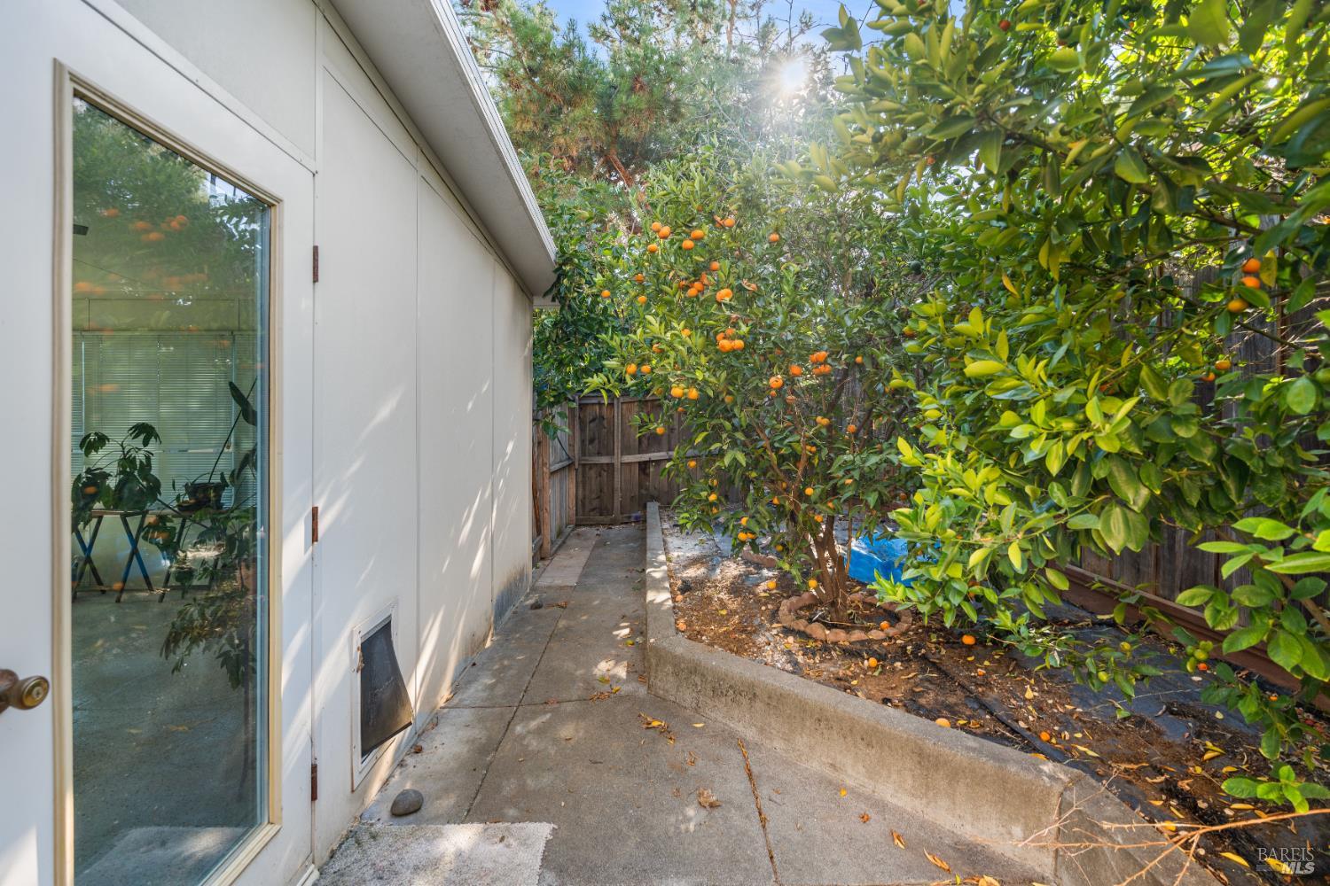 1903 Orchard View Drive Fairfield CA 94534