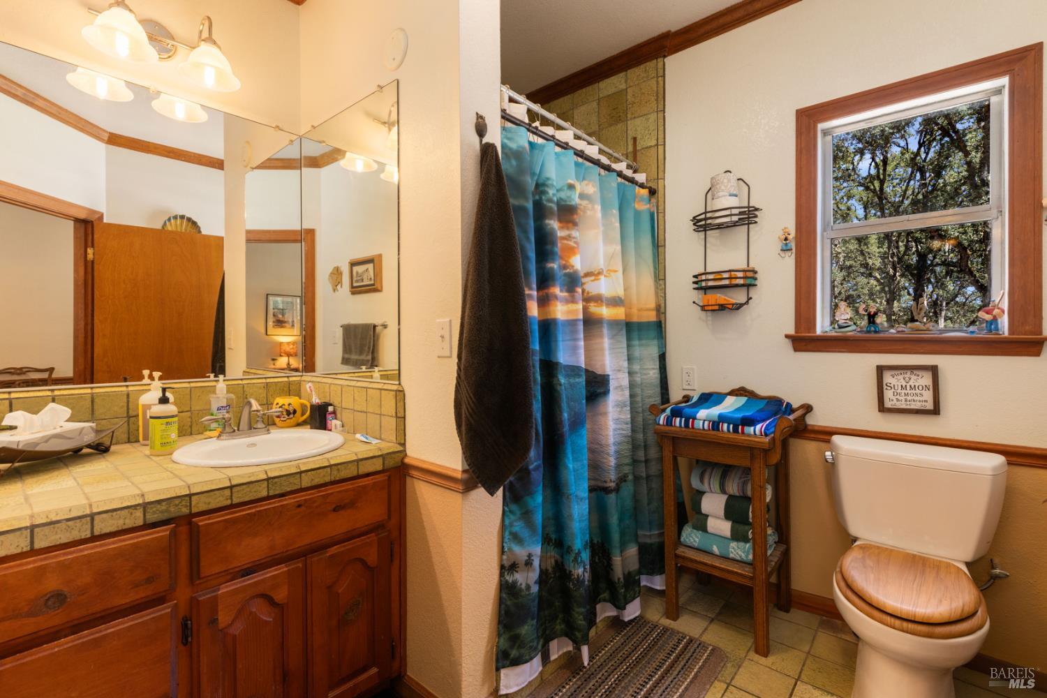 608 Dixon Drive Lakeport CA 95453