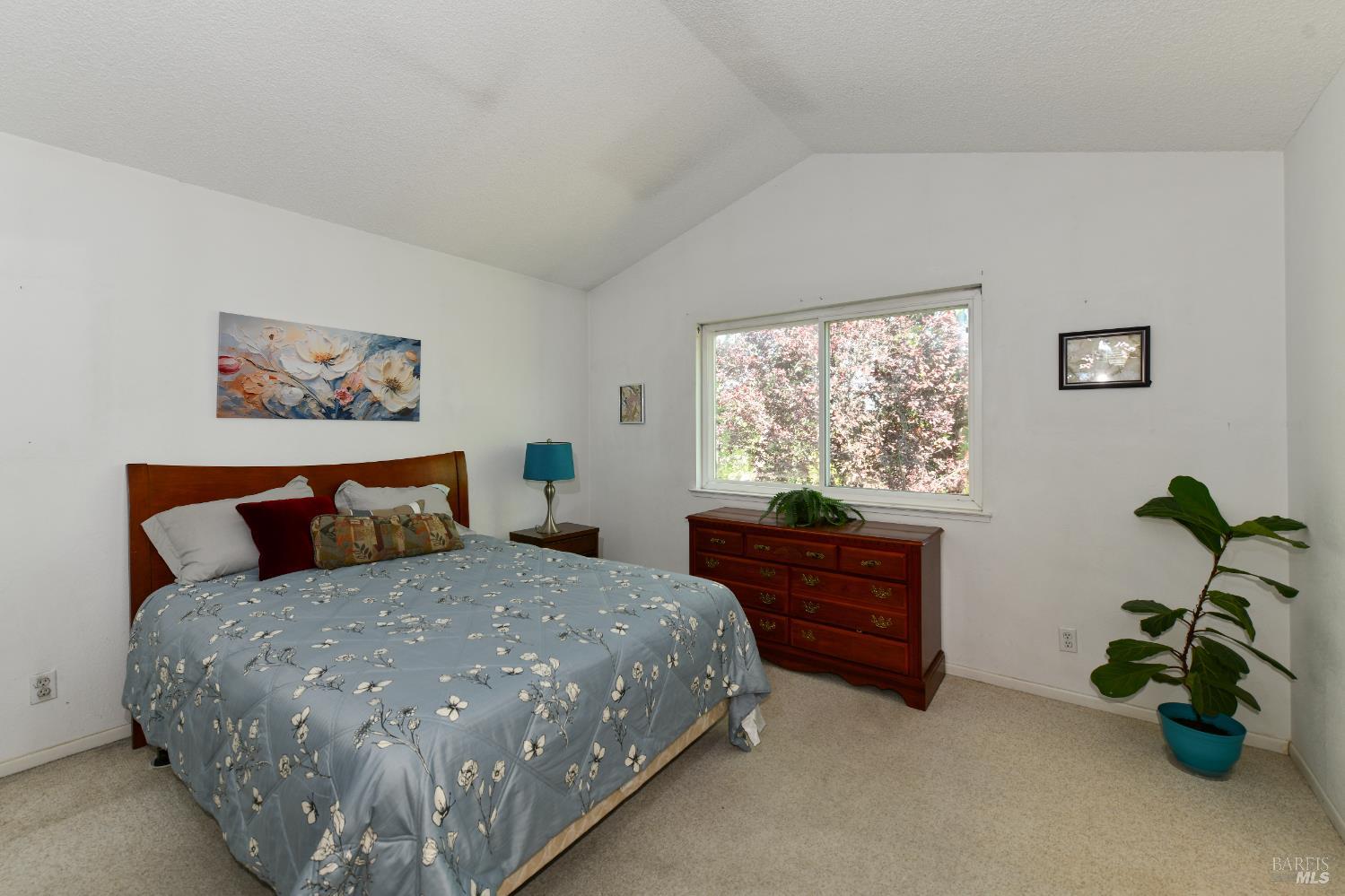 1106 Noyo Place Santa Rosa CA 95401