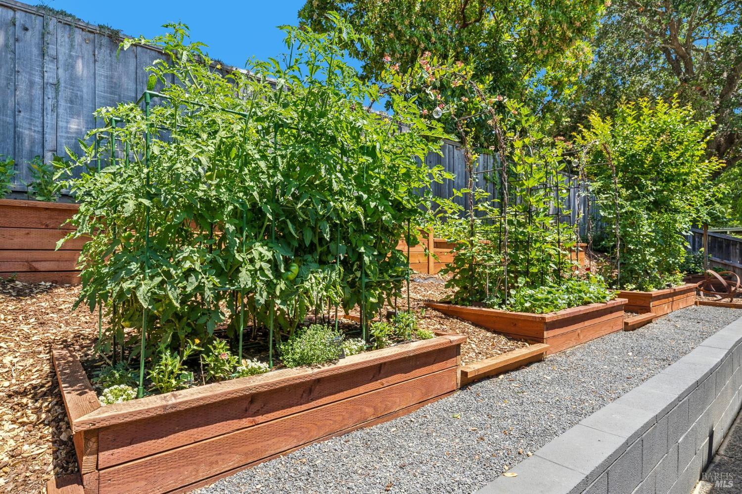 1331 Idylberry Road San Rafael CA 94903