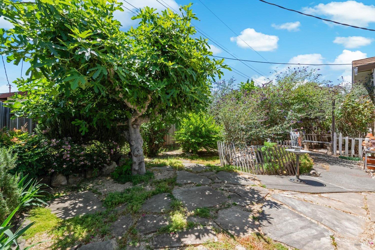 1615 Bryce Court Napa CA 94558