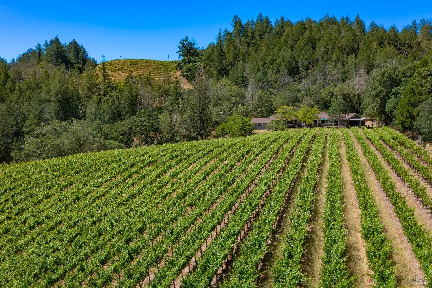 2131 Foothill Boulevard Calistoga CA 94515