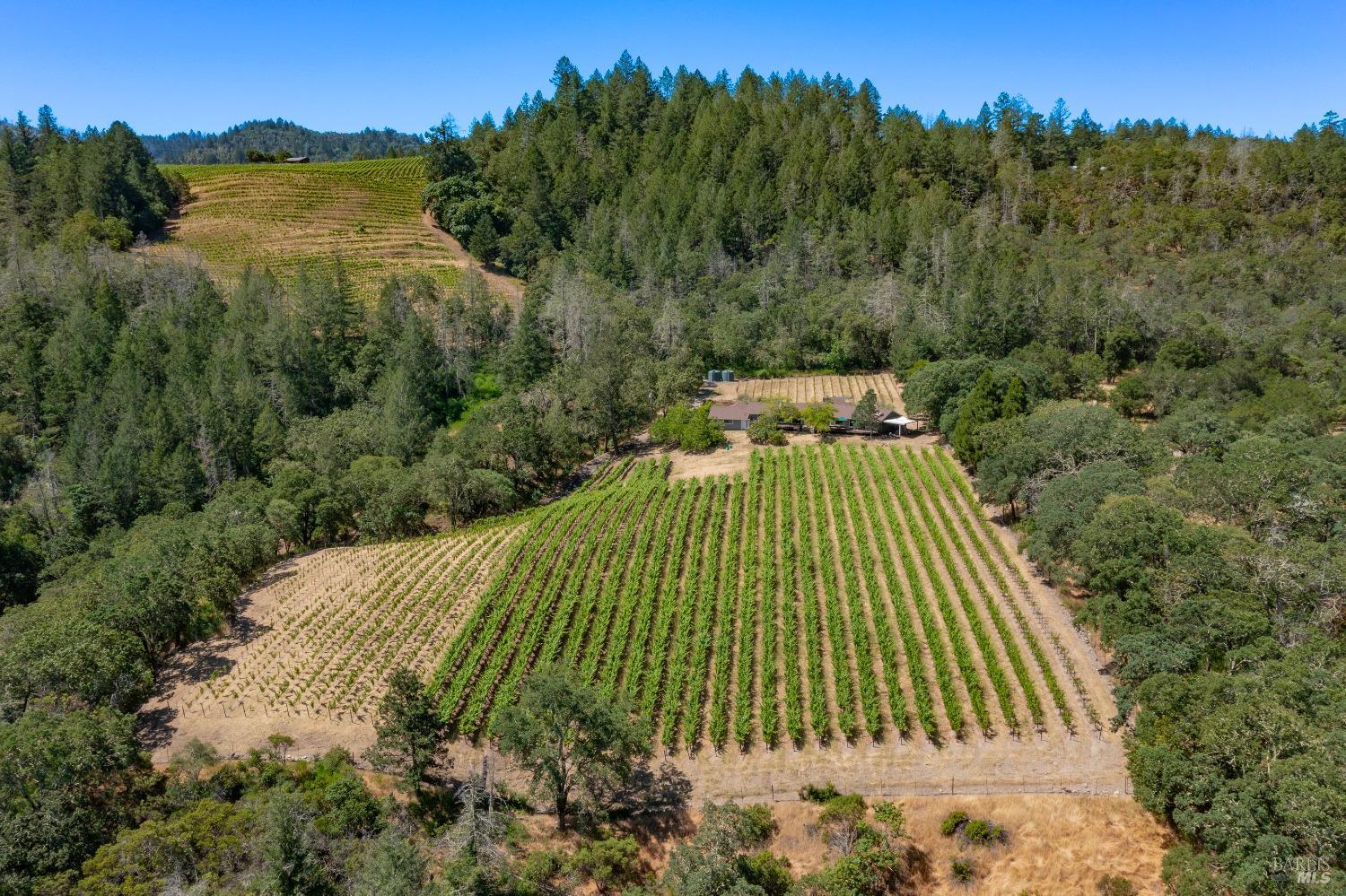 2131 Foothill Boulevard Calistoga CA 94515