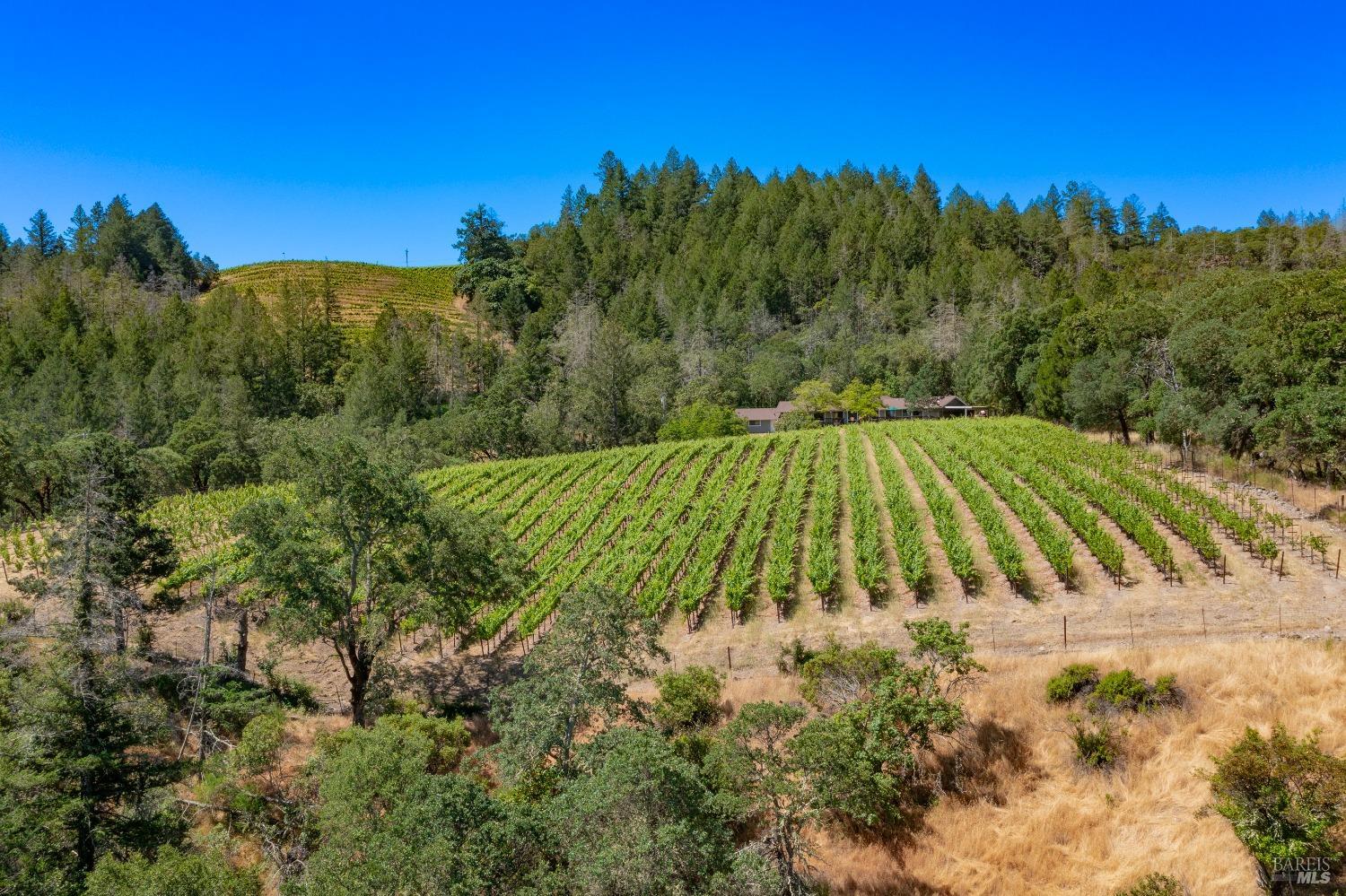 2131 Foothill Boulevard Calistoga CA 94515