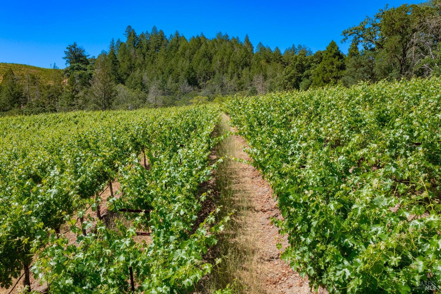 2131 Foothill Boulevard Calistoga CA 94515