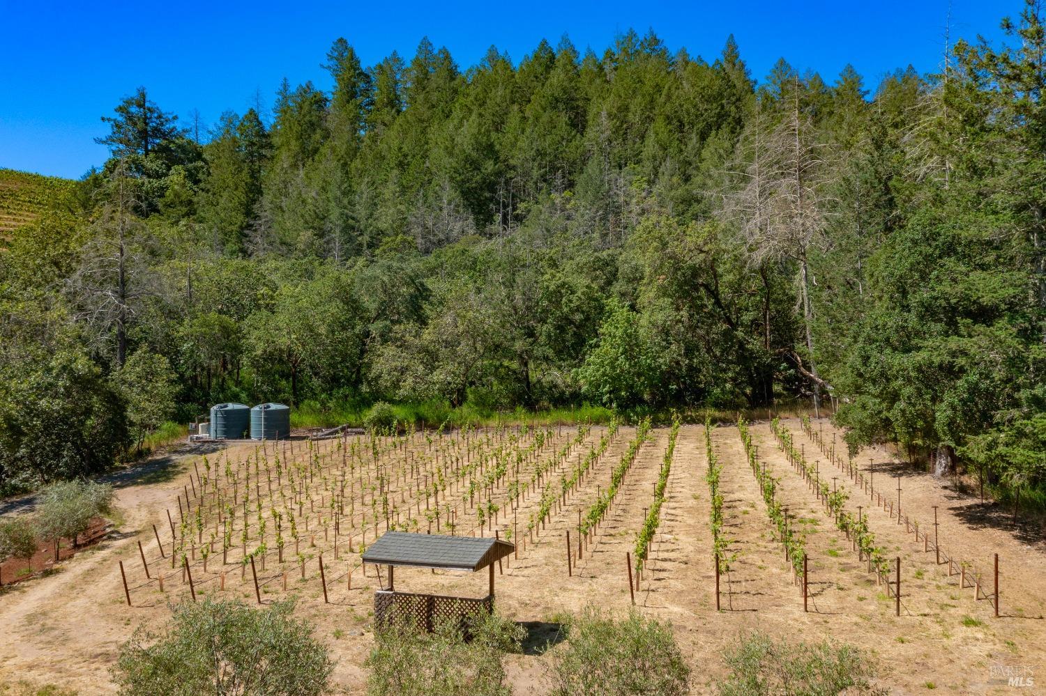2131 Foothill Boulevard Calistoga CA 94515