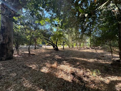 200-250 Napa Road Sonoma CA 95476