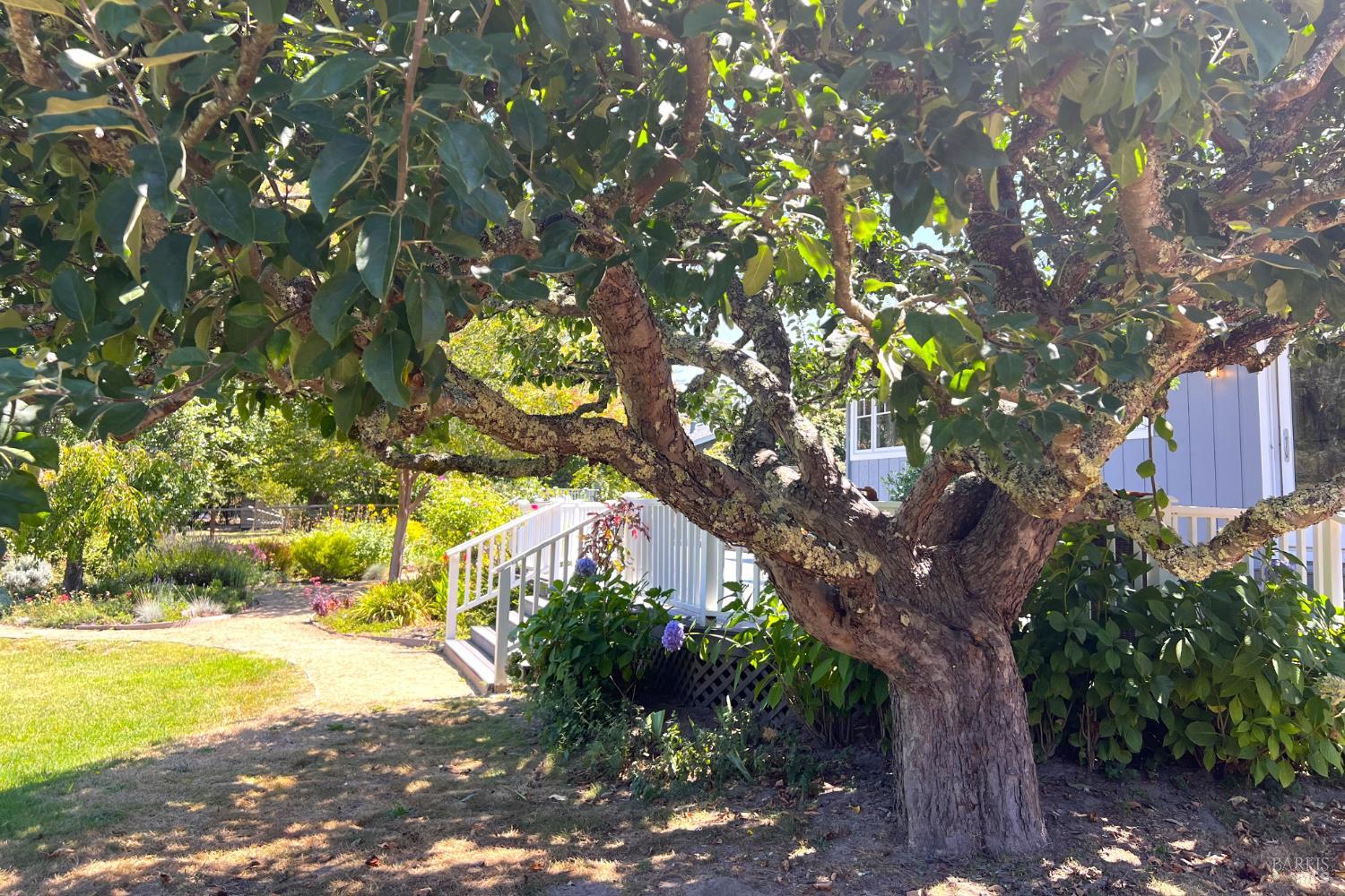8245 Candy Apple Lane Sebastopol CA 95472