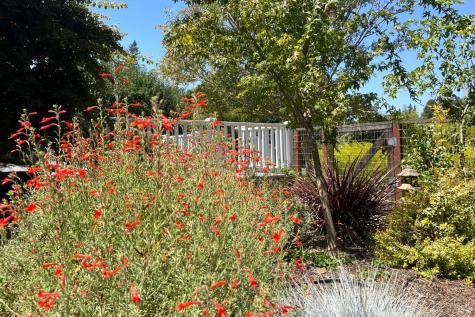 8245 Candy Apple Lane Sebastopol CA 95472
