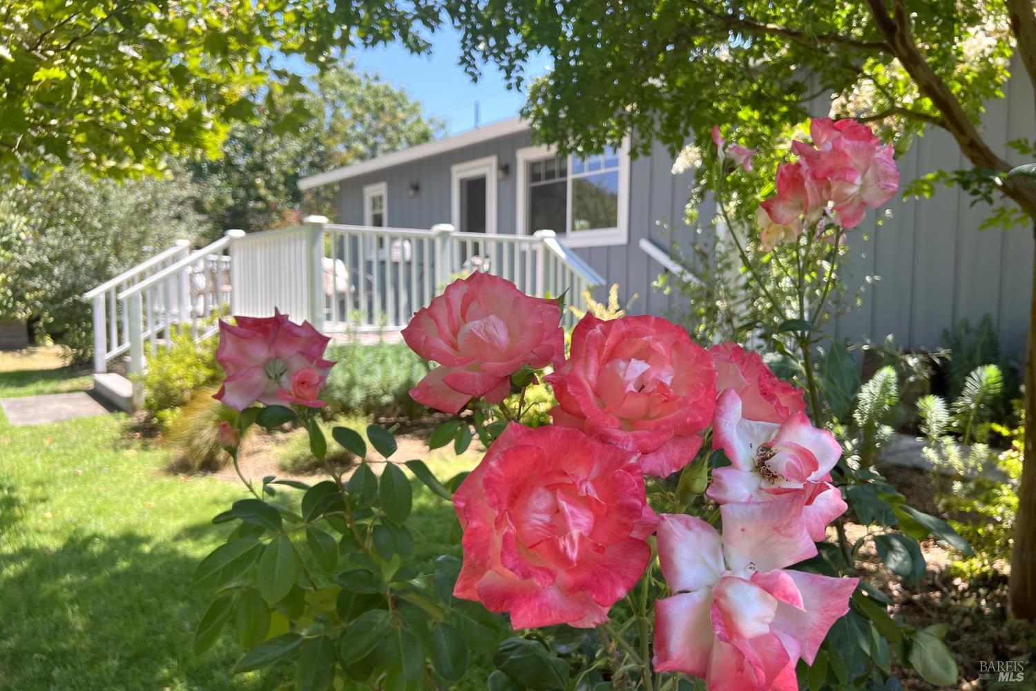 8245 Candy Apple Lane Sebastopol CA 95472