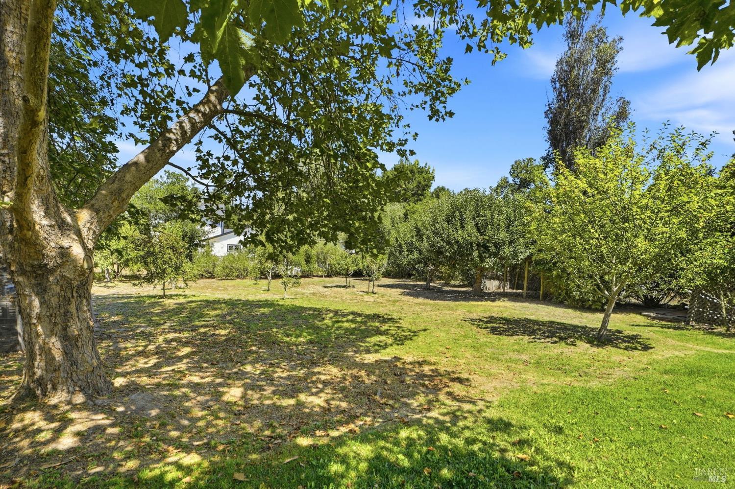 8245 Candy Apple Lane Sebastopol CA 95472