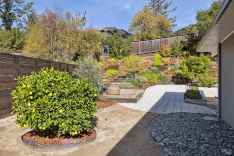 1224 Idylberry Road San Rafael CA 94903