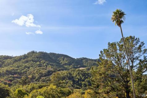 1224 Idylberry Road San Rafael CA 94903