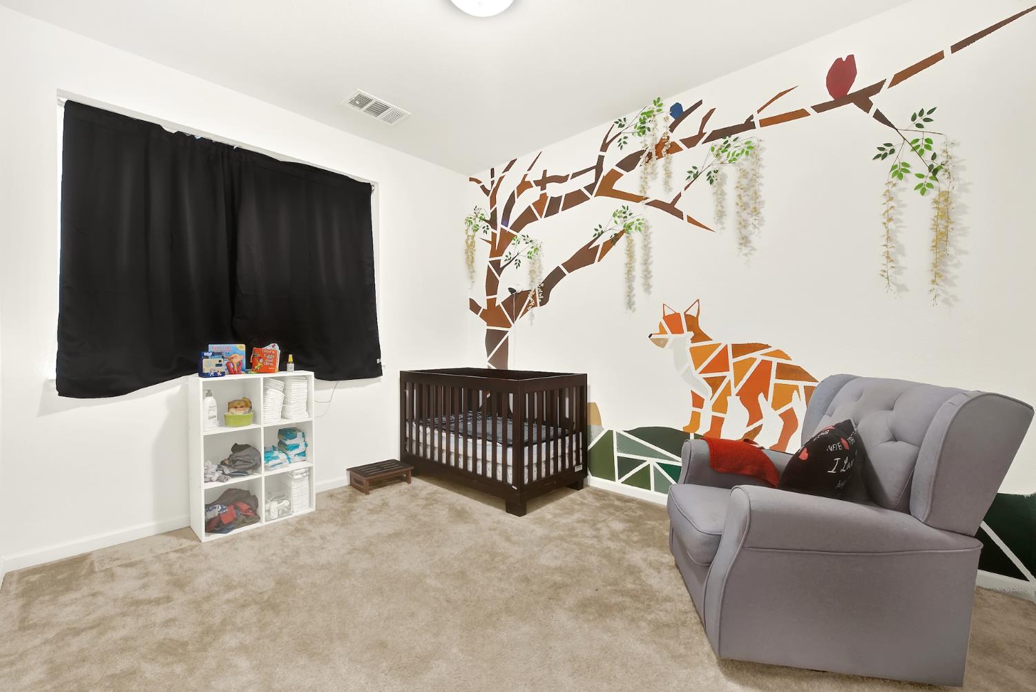 1125 Hiramatsu Lane Winters CA 95694