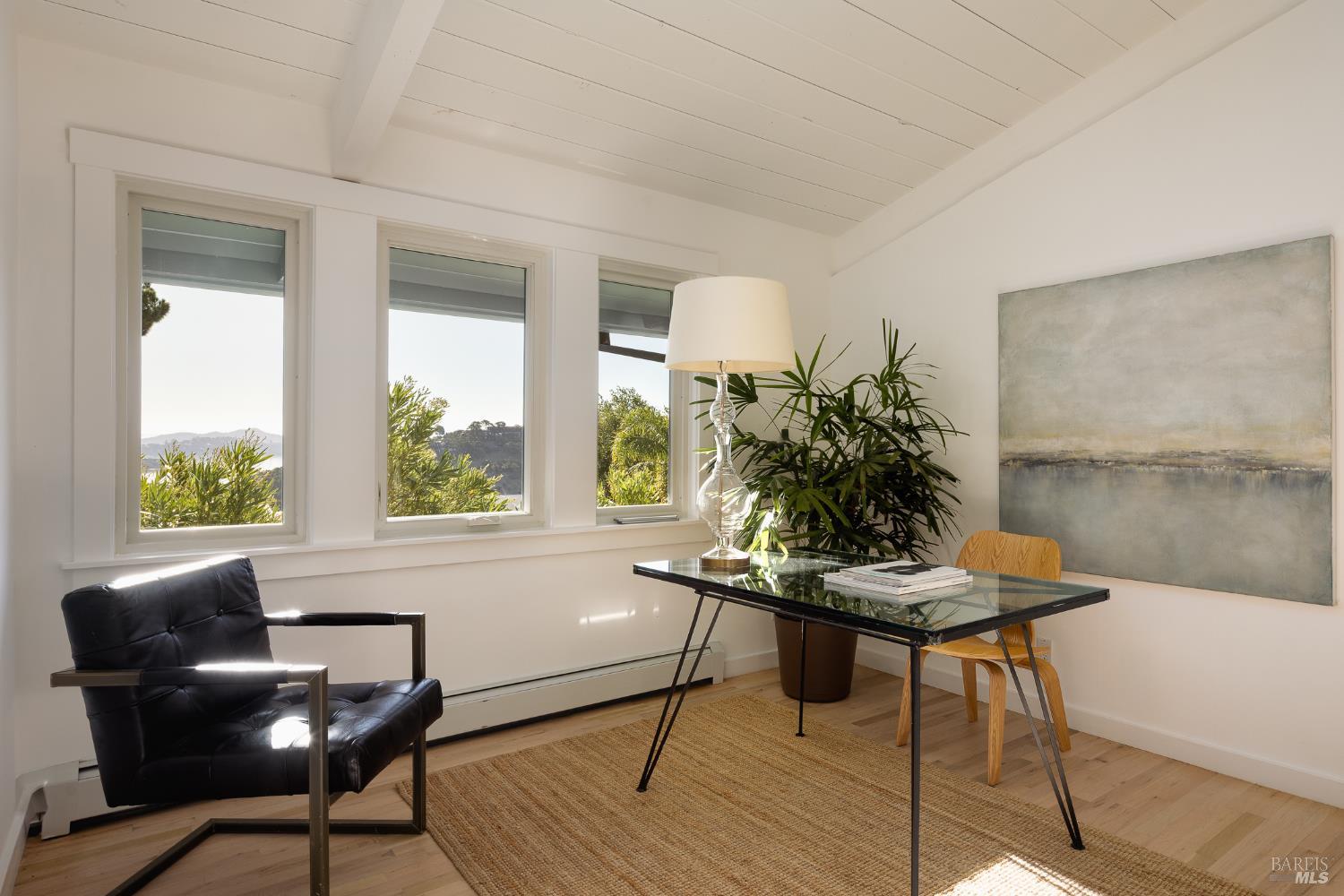 214 Cleveland Court Mill Valley CA 94941