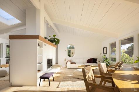 214 Cleveland Court Mill Valley CA 94941