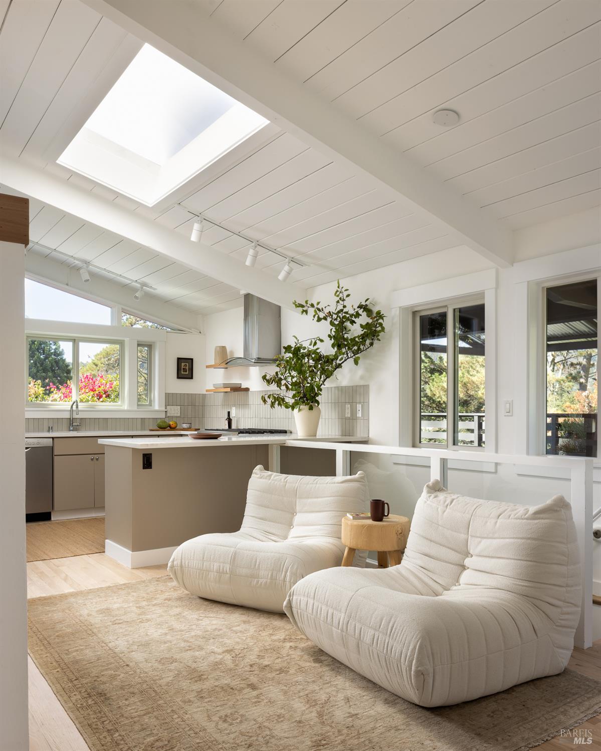 214 Cleveland Court Mill Valley CA 94941
