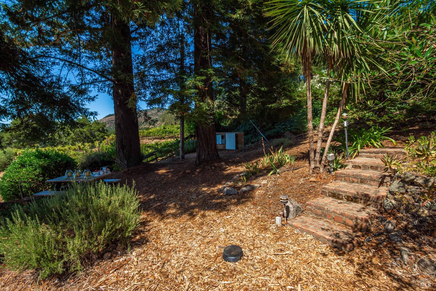 6006 Wild Horse Valley Road Napa CA 94558