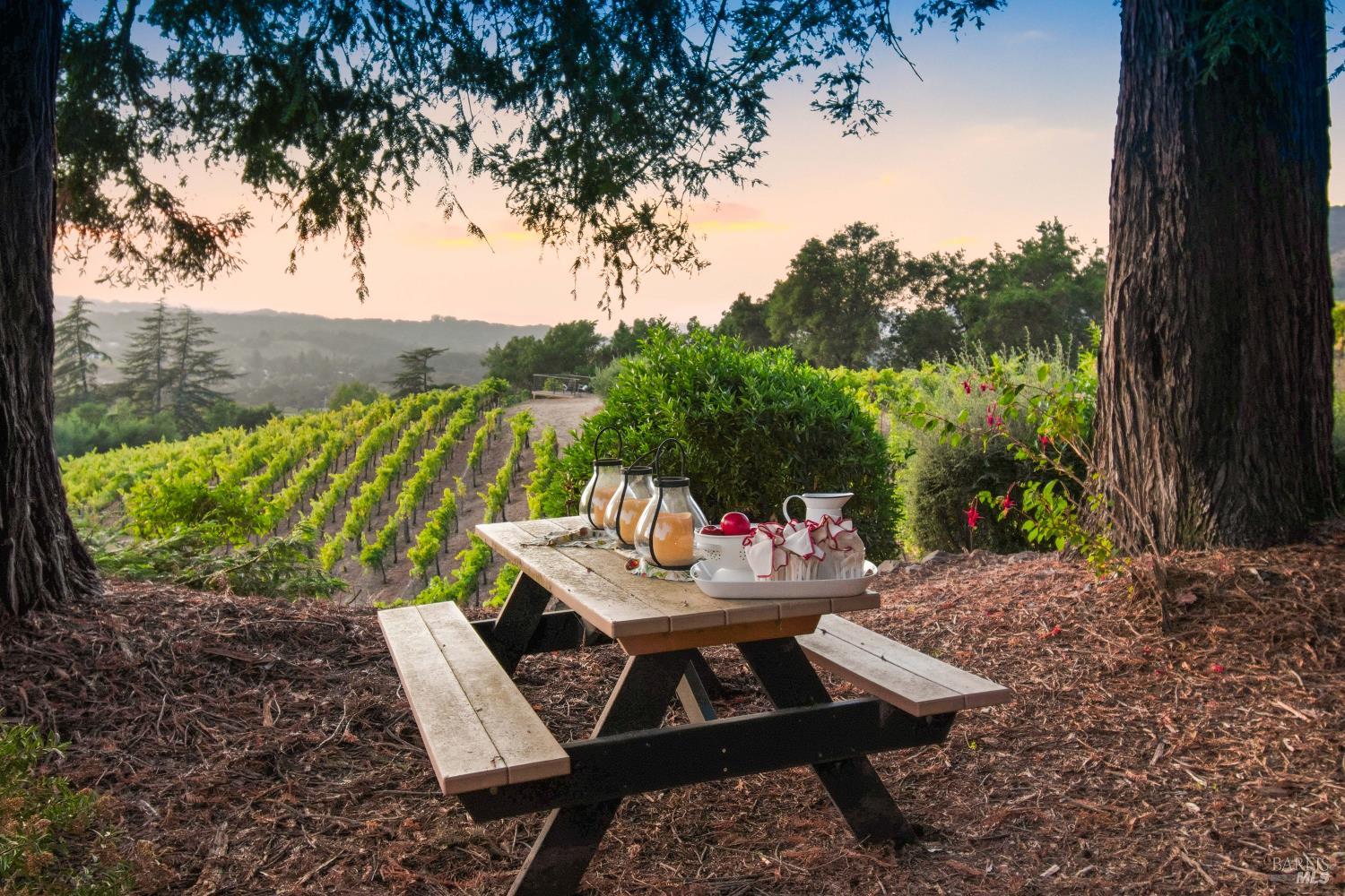 6006 Wild Horse Valley Road Napa CA 94558