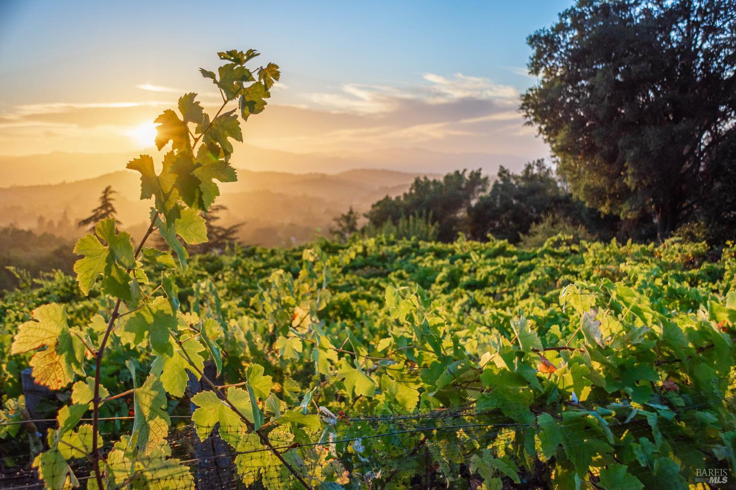 6006 Wild Horse Valley Road Napa CA 94558