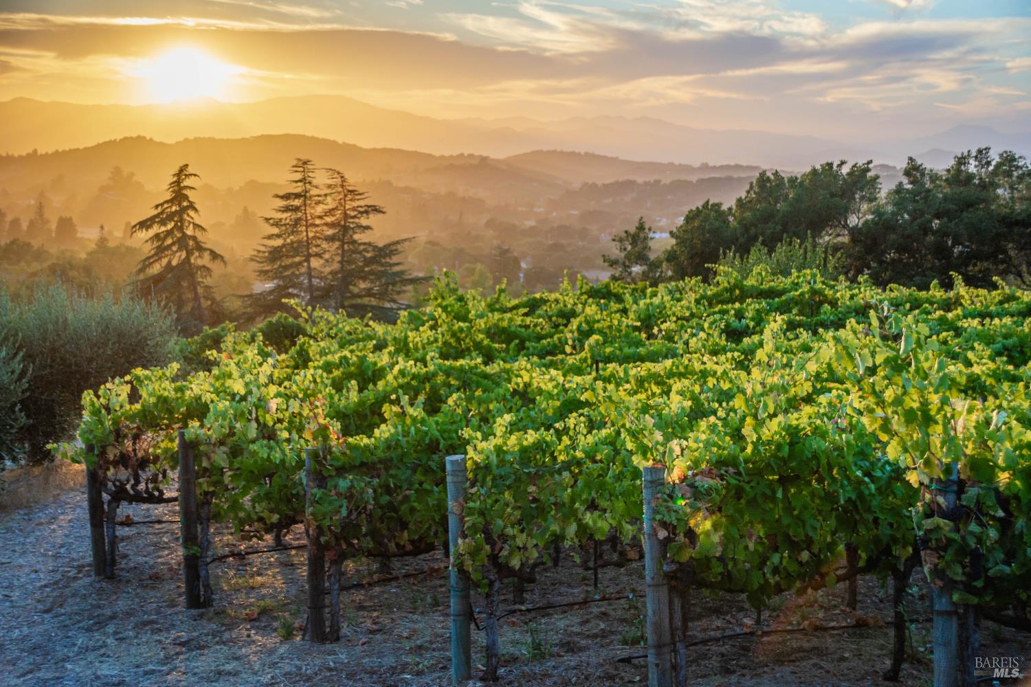 6006 Wild Horse Valley Road Napa CA 94558