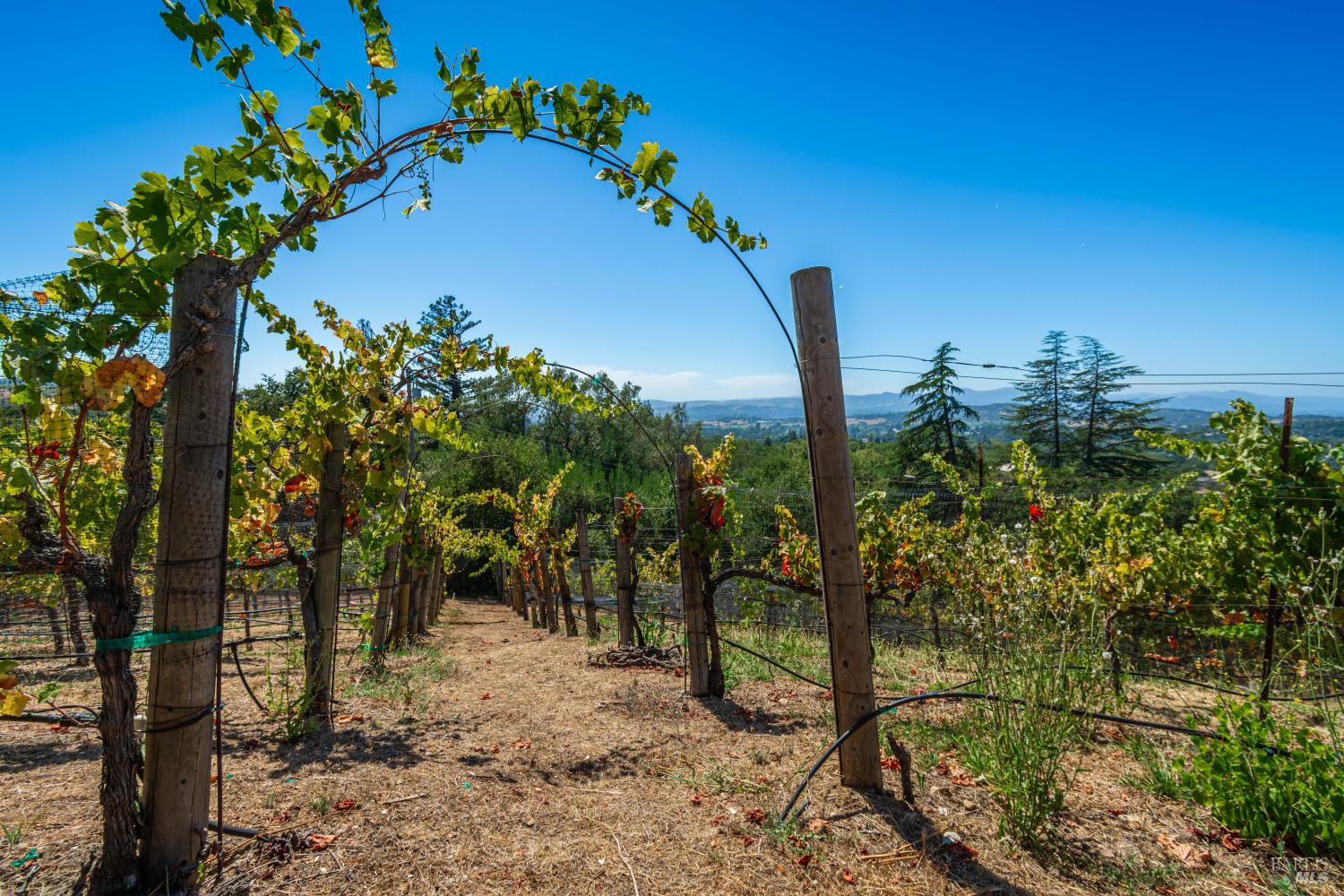 6006 Wild Horse Valley Road Napa CA 94558