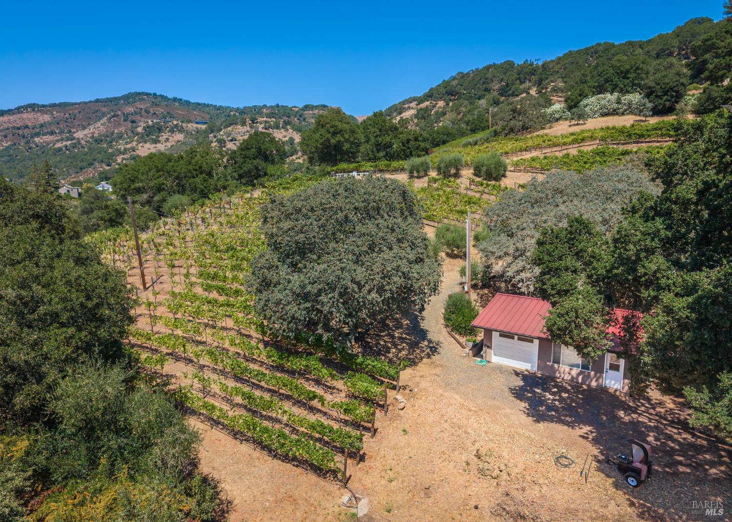 6006 Wild Horse Valley Road Napa CA 94558