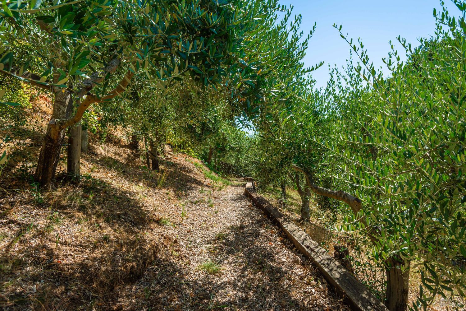 6006 Wild Horse Valley Road Napa CA 94558