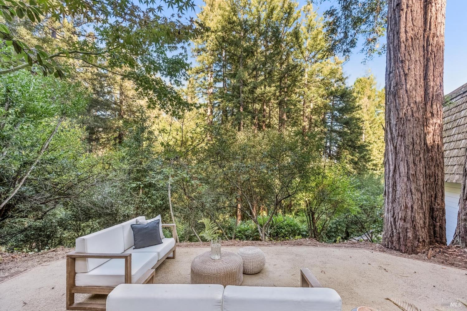 6 Marion Avenue Mill Valley CA 94941