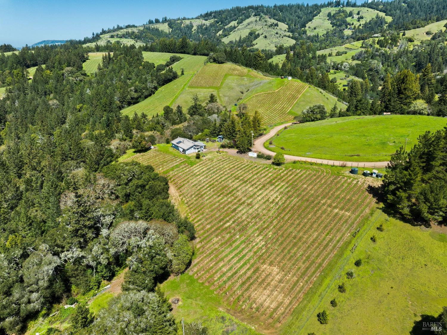 1550 Guntley Road Philo CA 95466