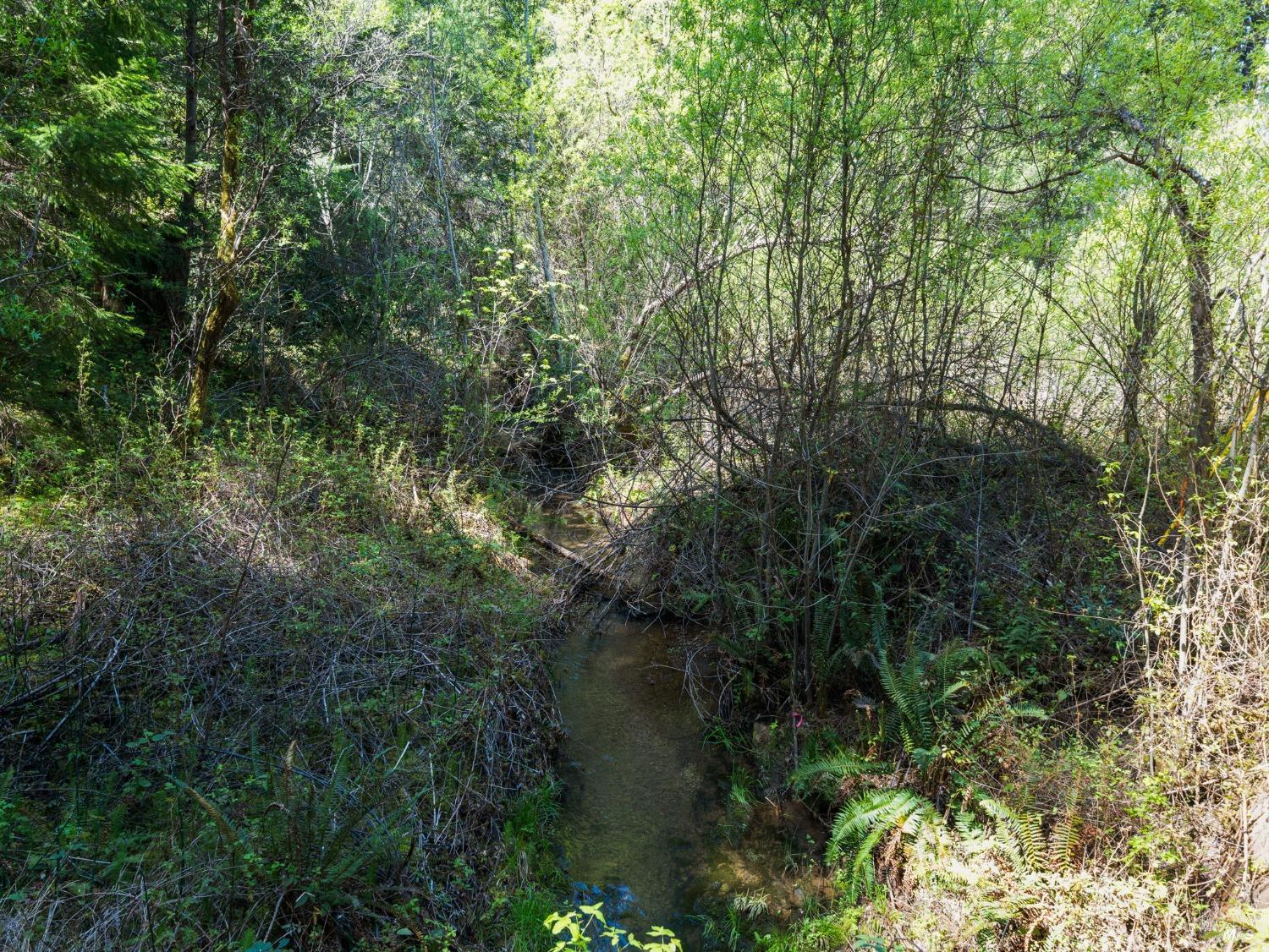 1550 Guntley Road Philo CA 95466