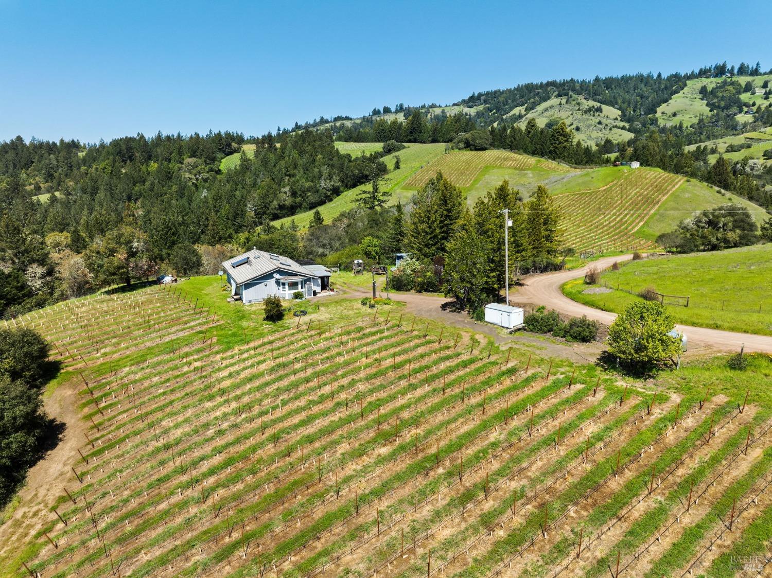 1550 Guntley Road Philo CA 95466