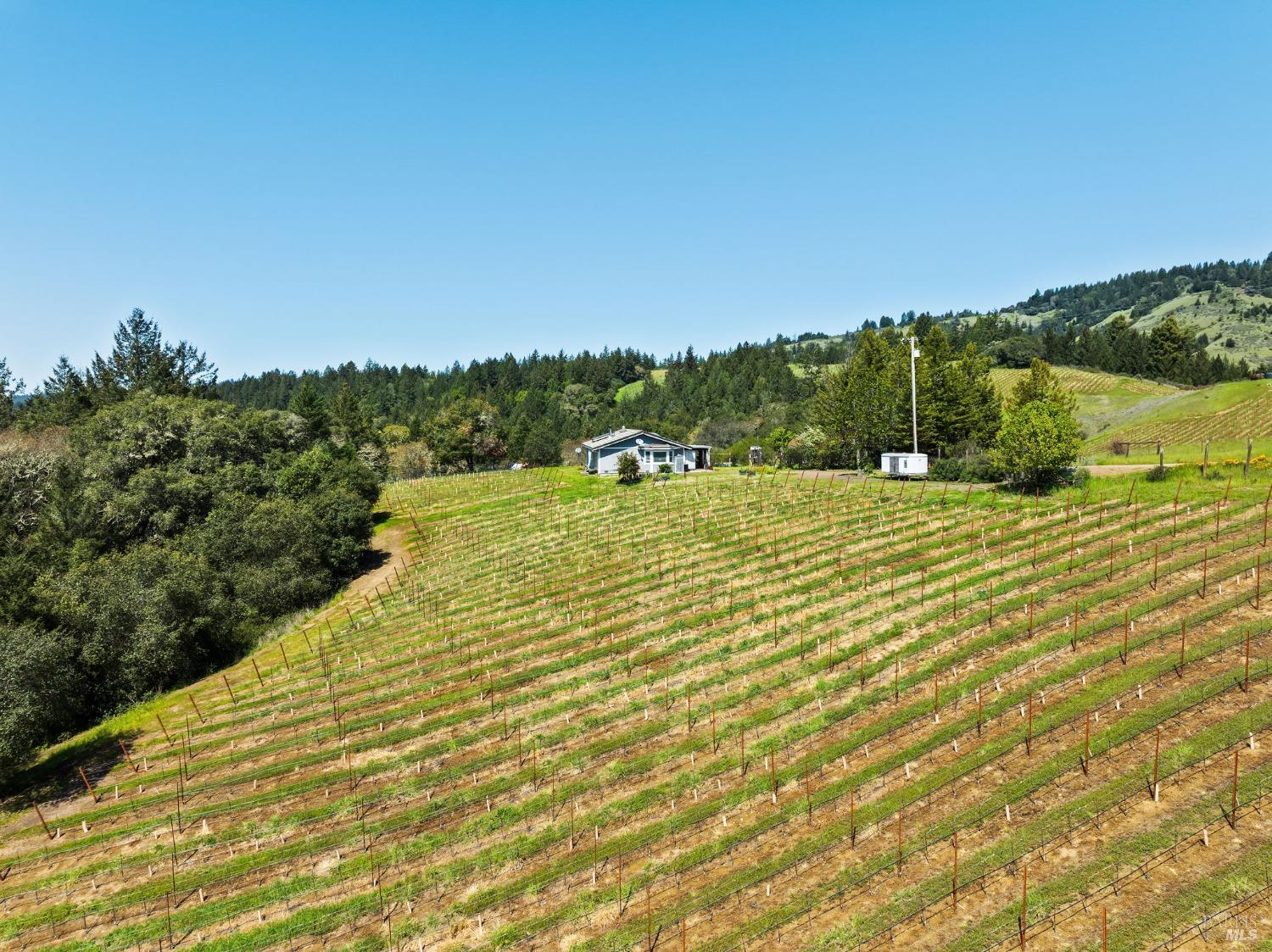 1550 Guntley Road Philo CA 95466
