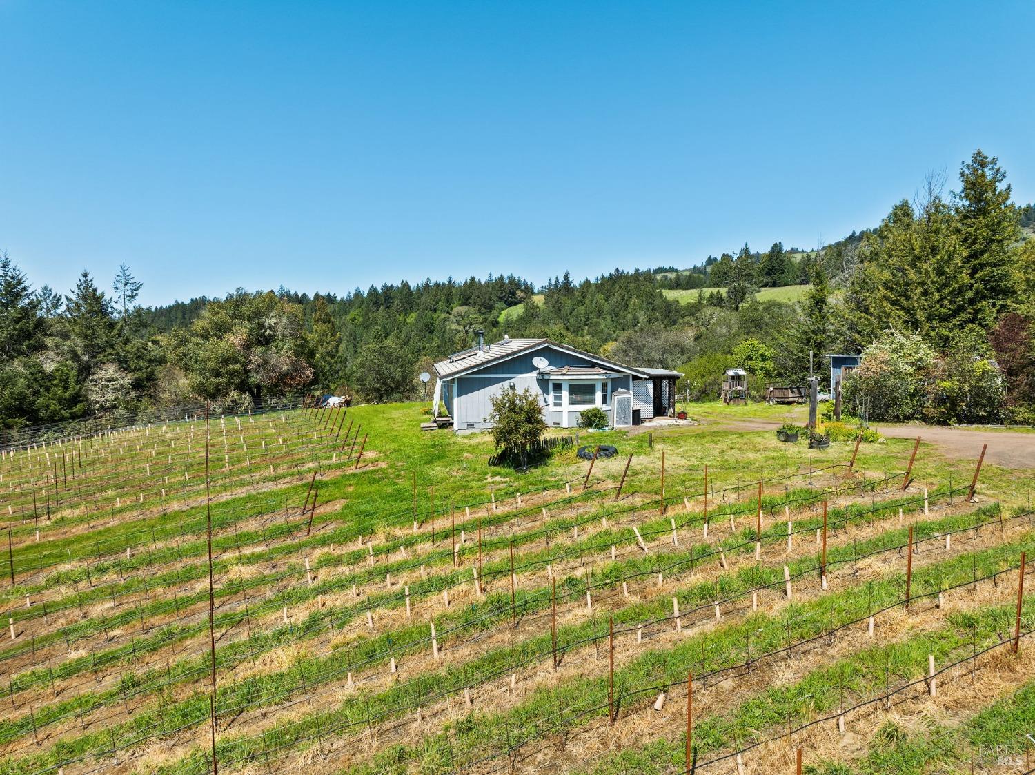 1550 Guntley Road Philo CA 95466